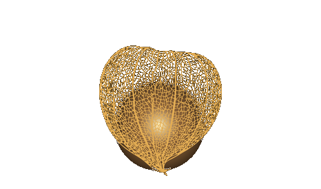 Lantern Arts